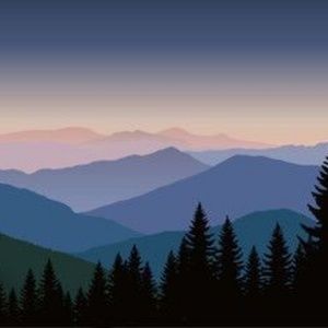 Meet your Posher, Kars